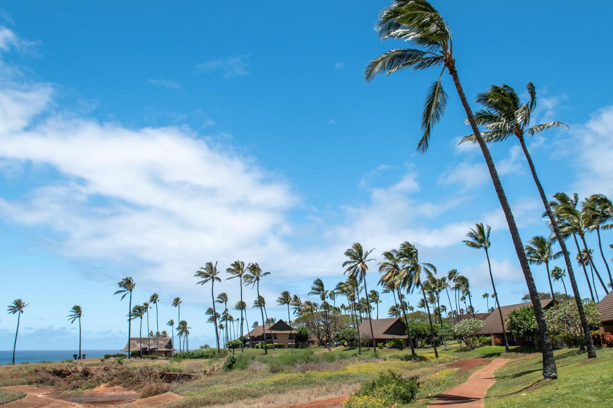 Kepuhi Beach Resort Maunaloa Pokoj fotografie